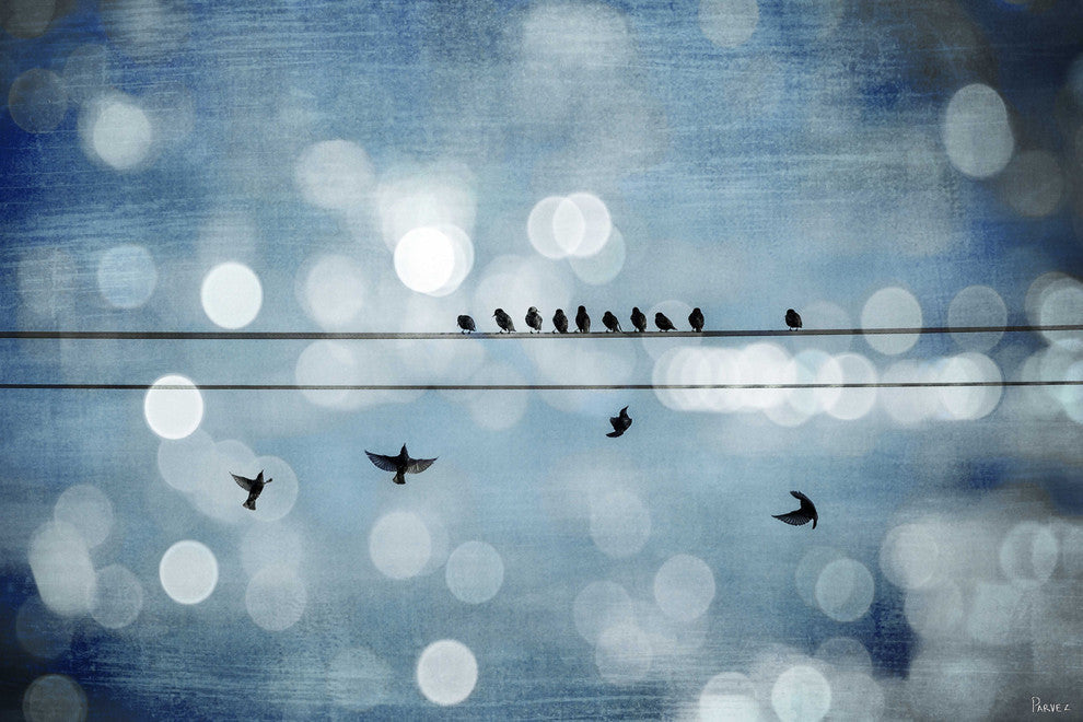 "Hanging Out" Fine Art Canvas Print, 18"x12"