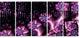Purple Radiance of Starry Sky, Abstract Wall Art Canvas, 60"x28", 5 Panels