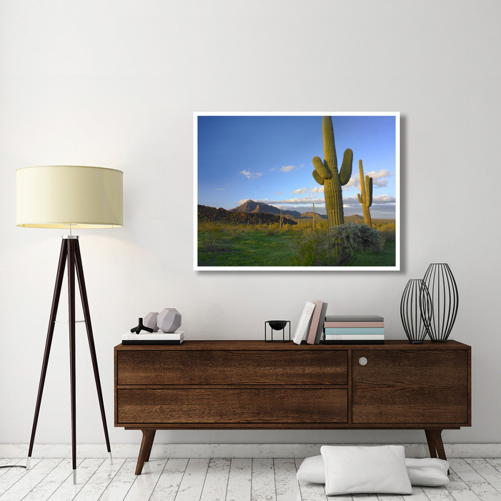 "Saguaro and Teddybear Cholla, Picacho Peak State Park" Paper Art, 50"x38"