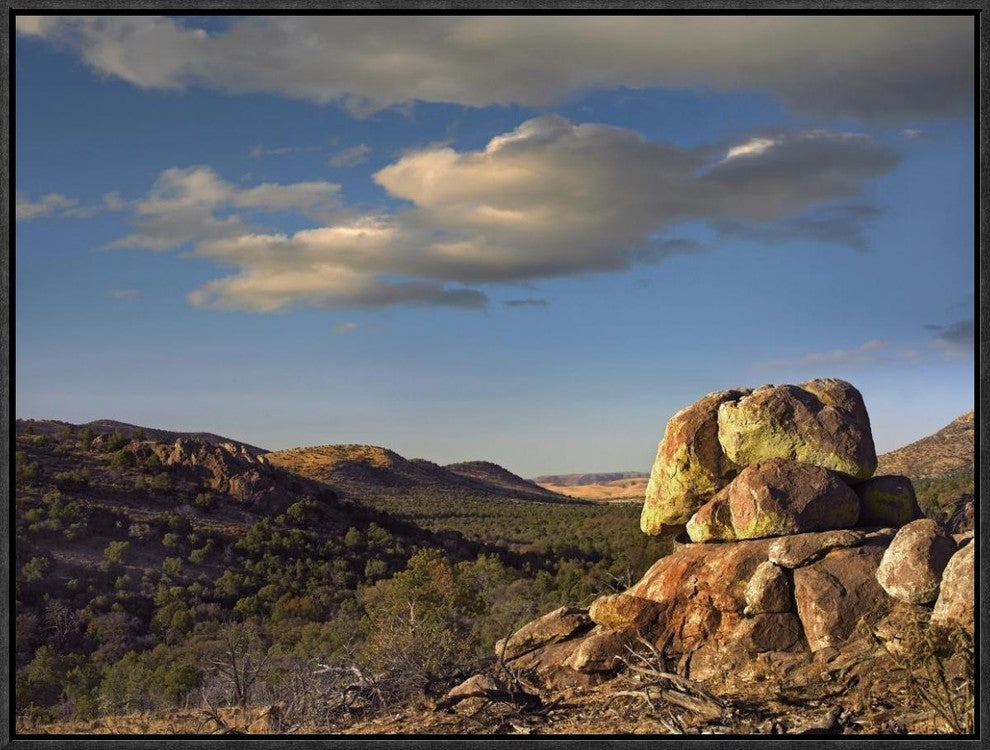 "Rockpile, Davis Mountains, Chihuahuan Desert, Texas"  by Tim Fitzharris, 25x19"