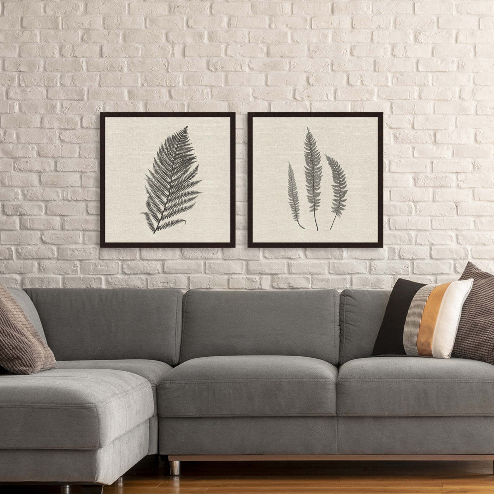 Modern Ferns II, Set of 2