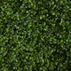 20" Boxwood Artificial Wall Mat, Indoor/Outdoor, Set of 2