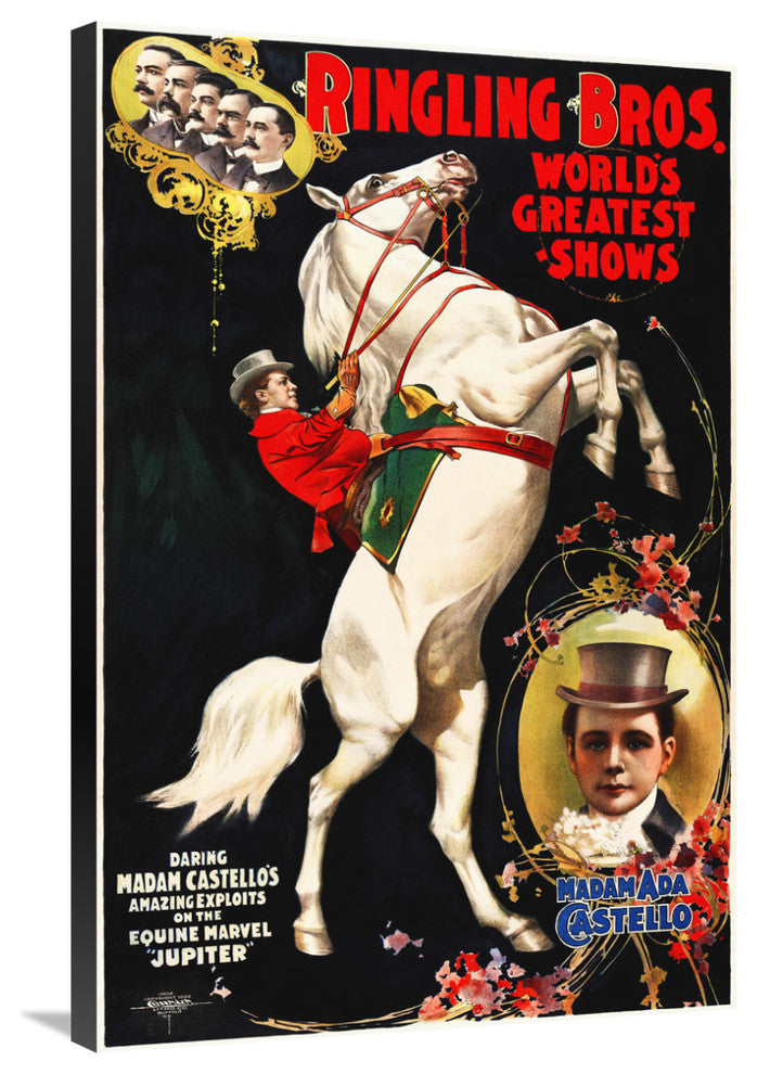 Madam Ada Castello And Jupiter, Poster For Ringling Brothers, Ca,  1899, 24x36