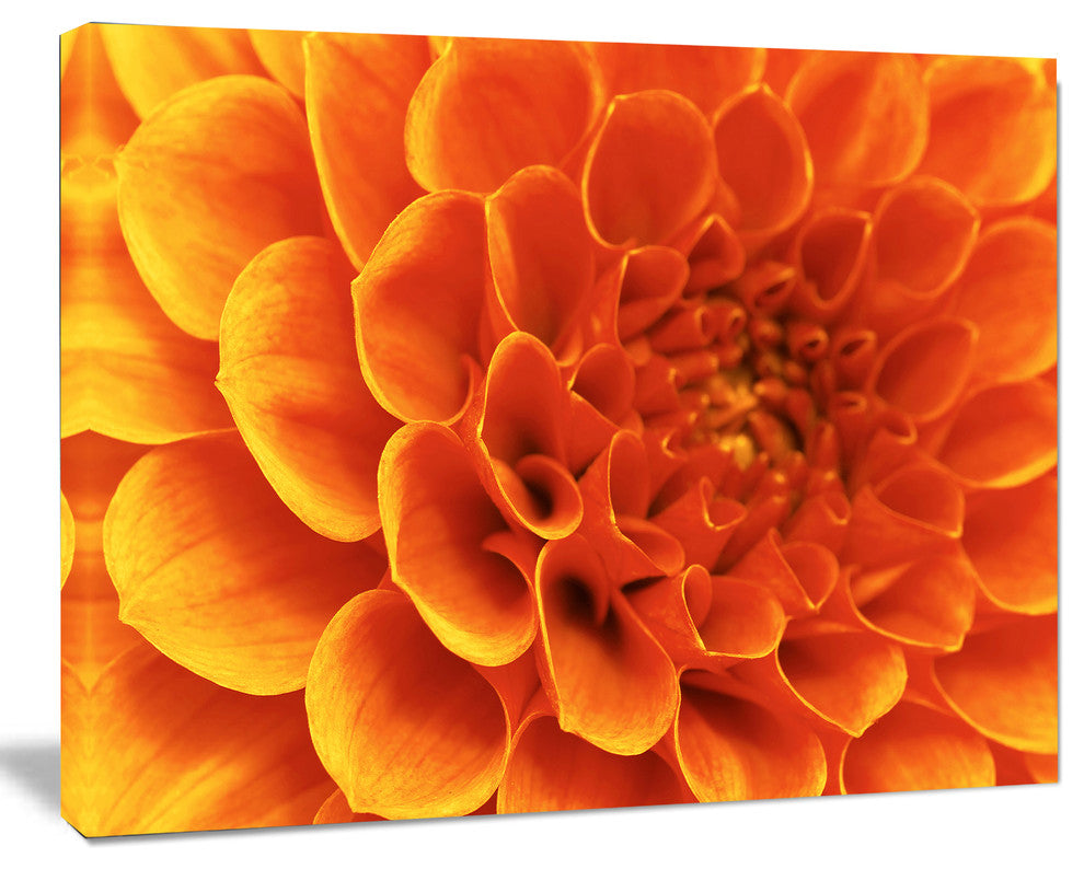 Large Orange Flower and Petals, Floral Canvas Art Print, 20"x12"