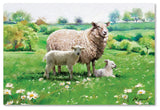 The Macneil Studio 'Sheep and Lamb' Canvas Art, 24"x16"