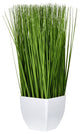 22.5" Green Potted Grass