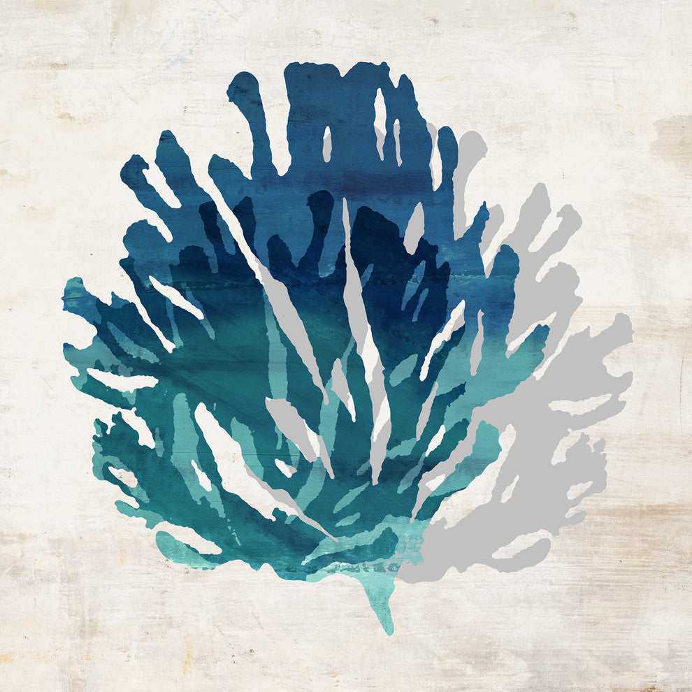 Cerulean Coral IV, 36"x36", Gallery Wrapped