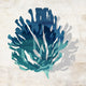 Cerulean Coral IV, 36"x36", Gallery Wrapped