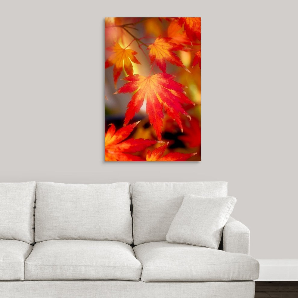 "Fall Back" Wrapped Canvas Art Print, 24"x36"x1.5"