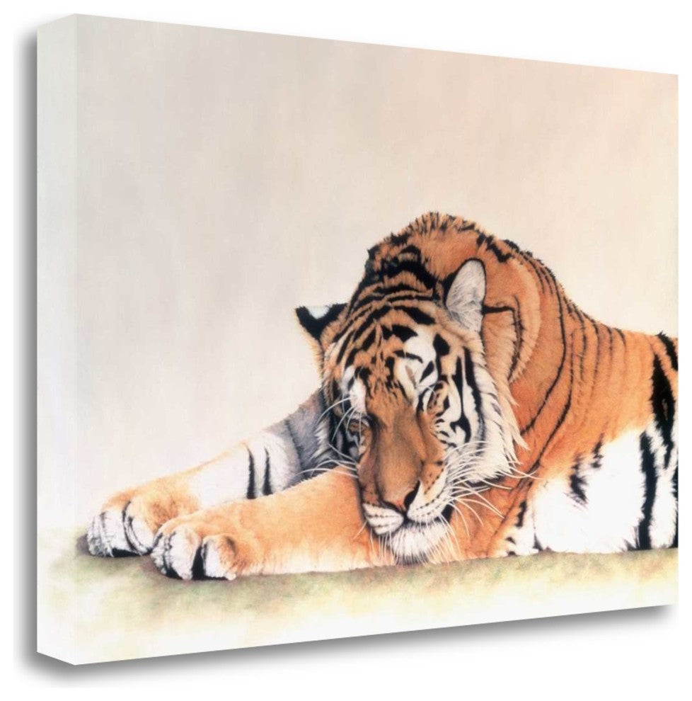 "Sleeping Tiger" By Jan Henderson, Giclee Print on Gallery Wrap Canvas