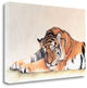 "Sleeping Tiger" By Jan Henderson, Giclee Print on Gallery Wrap Canvas