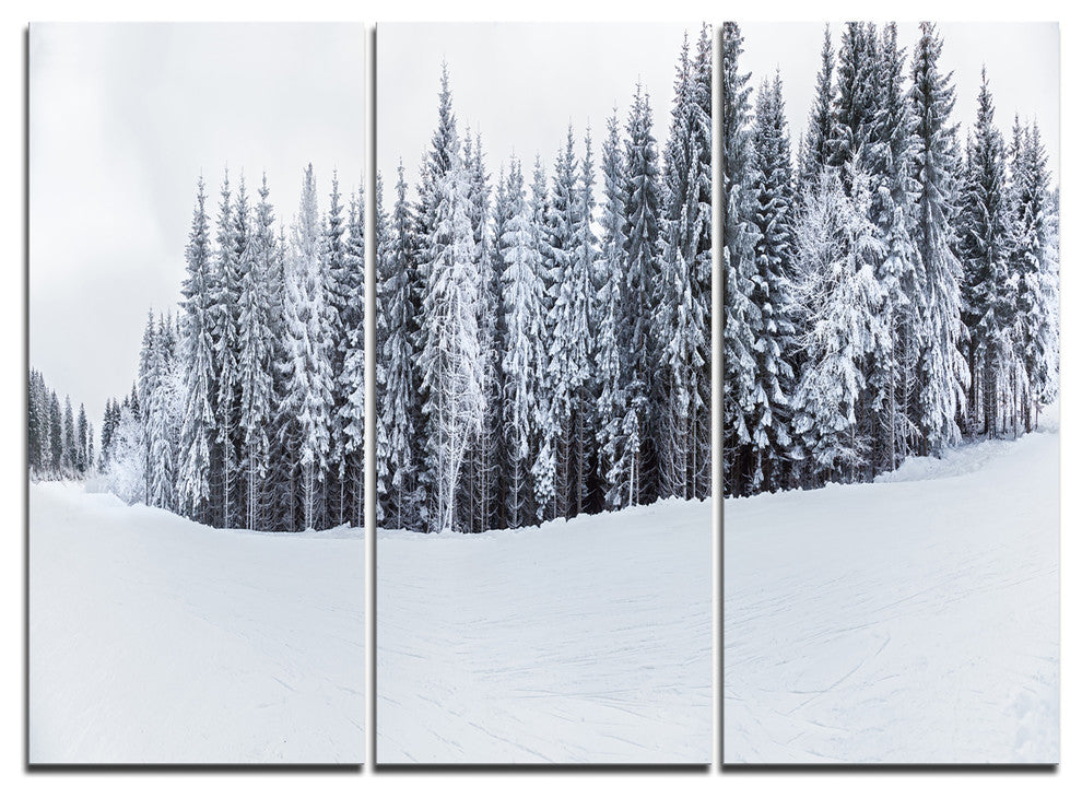 "Black and White Snow-Capped Hills" Wall Art, 3 Panels, 36"x28"