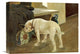 "Study of a Bulldog" Stretched Canvas Giclee by Arthur Heyer, 16"x12"