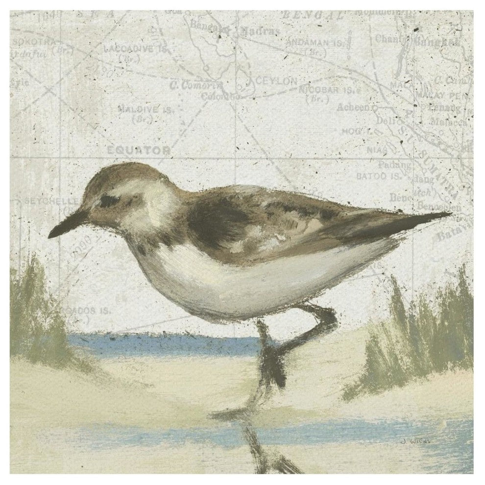 "Beach Bird IV" Digital Paper Print by James Wiens, 26"x26"
