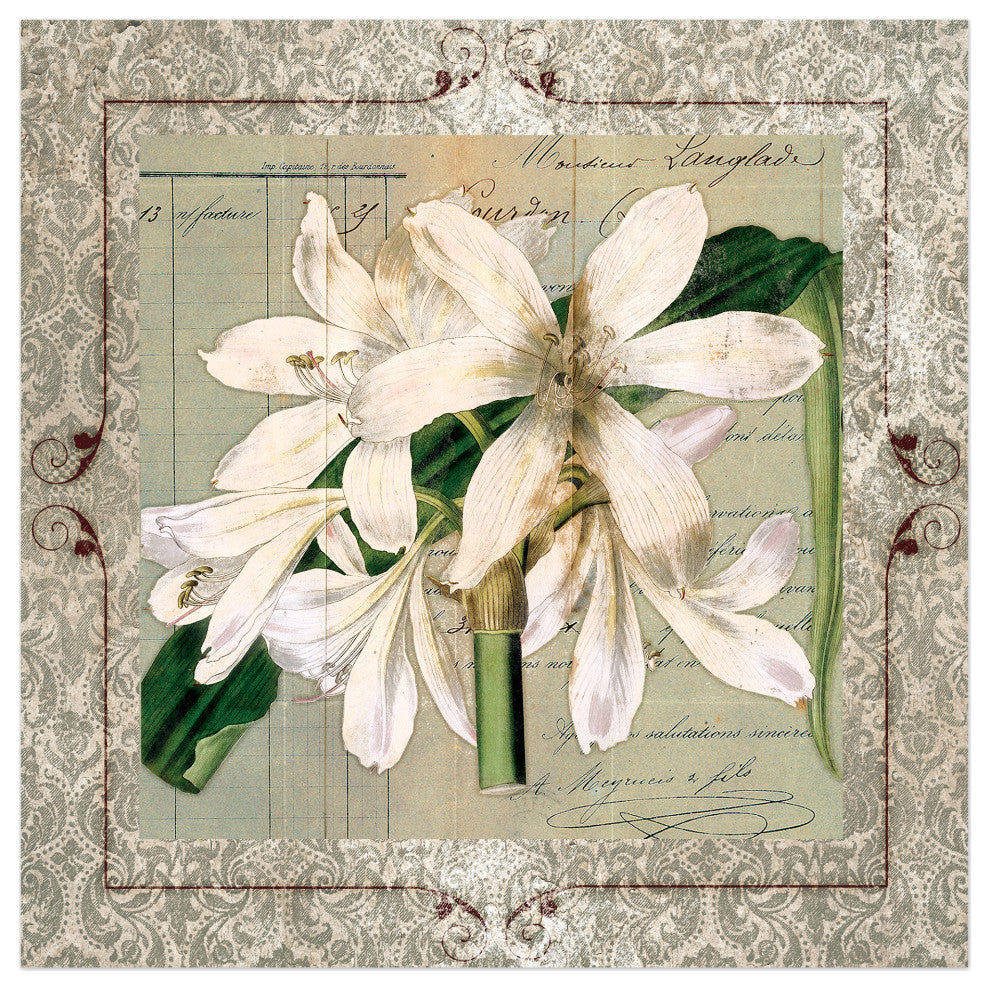 Lovely Blooms 20x20 Canvas Wall Art