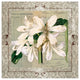 Lovely Blooms 20x20 Canvas Wall Art