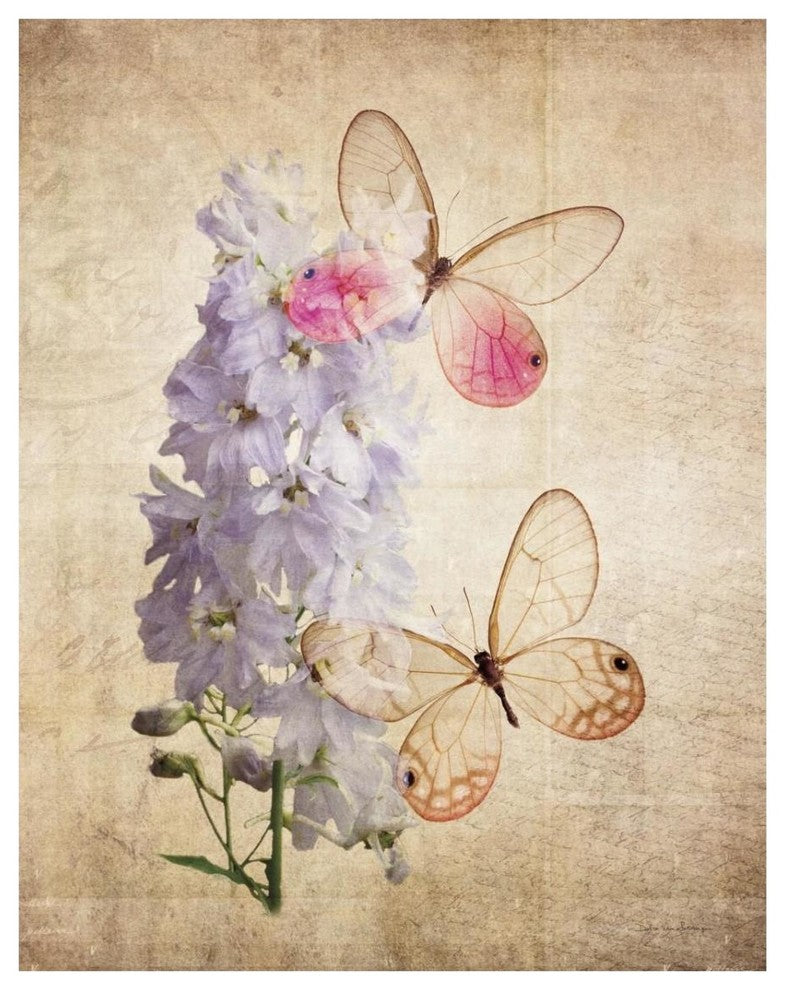 "Butterfly Botanical I" Digital Paper Print by Debra Van Swearingen, 24"x30"