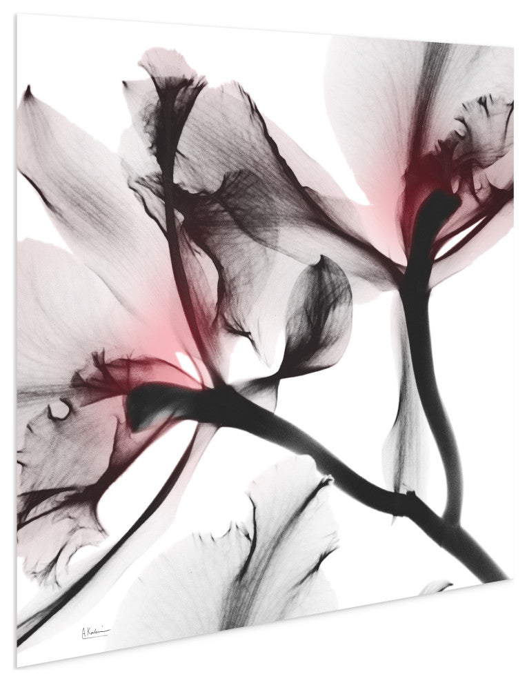 "Coral Luster 2" Frameless Free Floating Panel Graphic Wall Art, 24"x24"