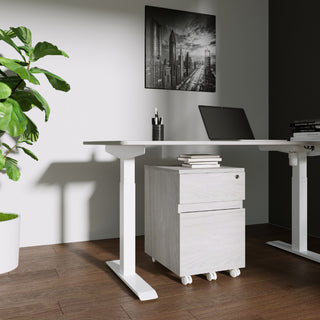 Techni Mobili Rolling 2-Drawer Vertical Filing Cabinet, Gray