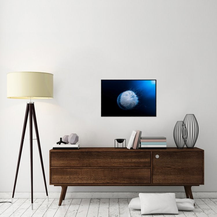 "Jellyfish" Framed Canvas Giclee by Barathieu Gabriel, 31x21"