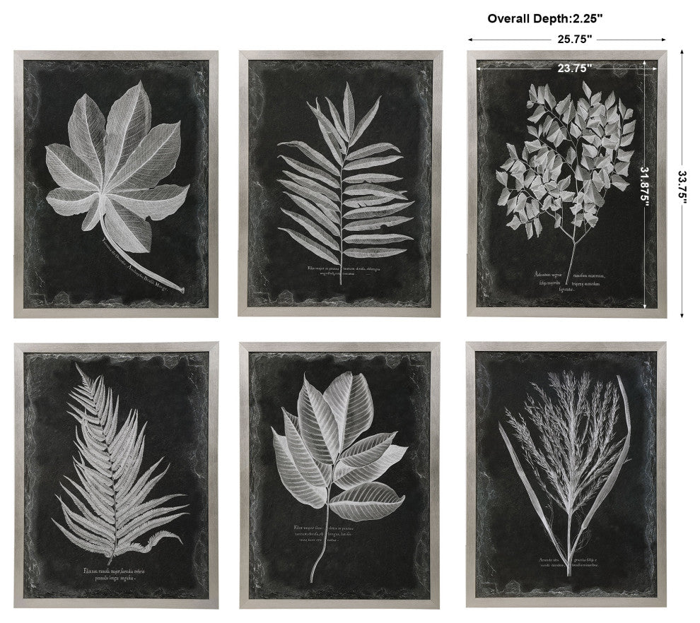 Uttermost Foliage Framed Prints, Set of 6