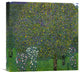 "Roses Under Trees 1904" Stretched Canvas Giclee by Gustav Klimt, 16"x16"
