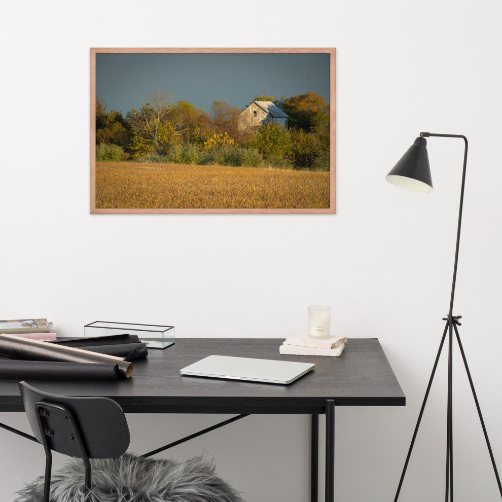 Abandoned Barn In The Trees Framed Photo Paper Wall Art Prints, Red Oak, 24" X 36"