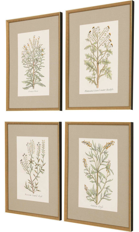 Botanical Plants Art, 4-Piece Set
