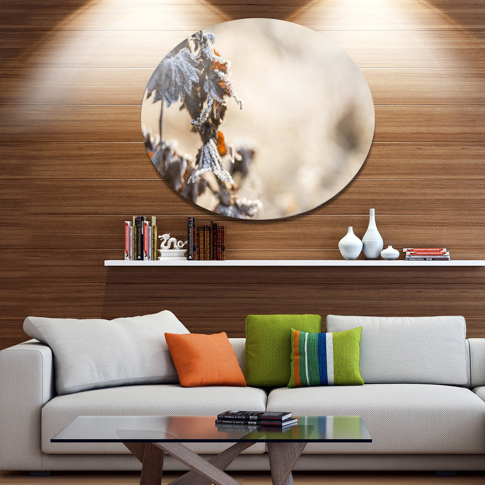 Beautiful Grass Covered With Ice, Modern Floral Round Wall Art, 38"