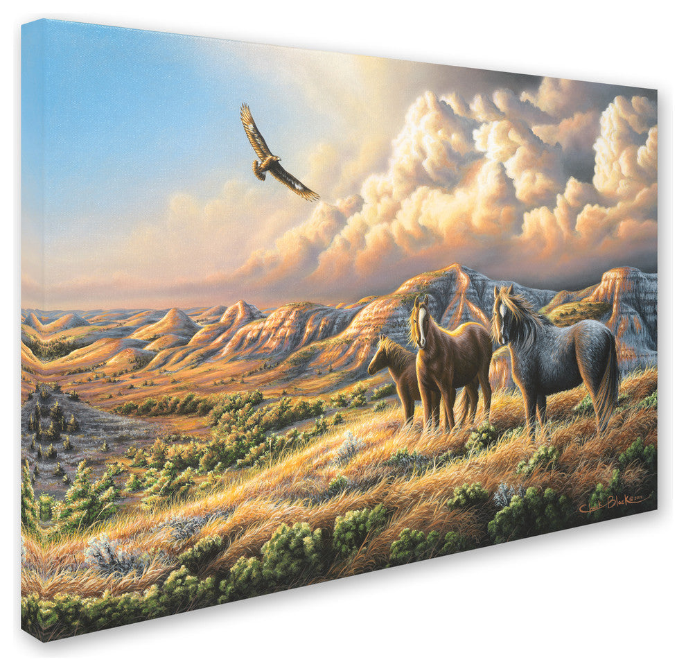 Chuck Black 'Under Wild Skies' Canvas Art, 24x18