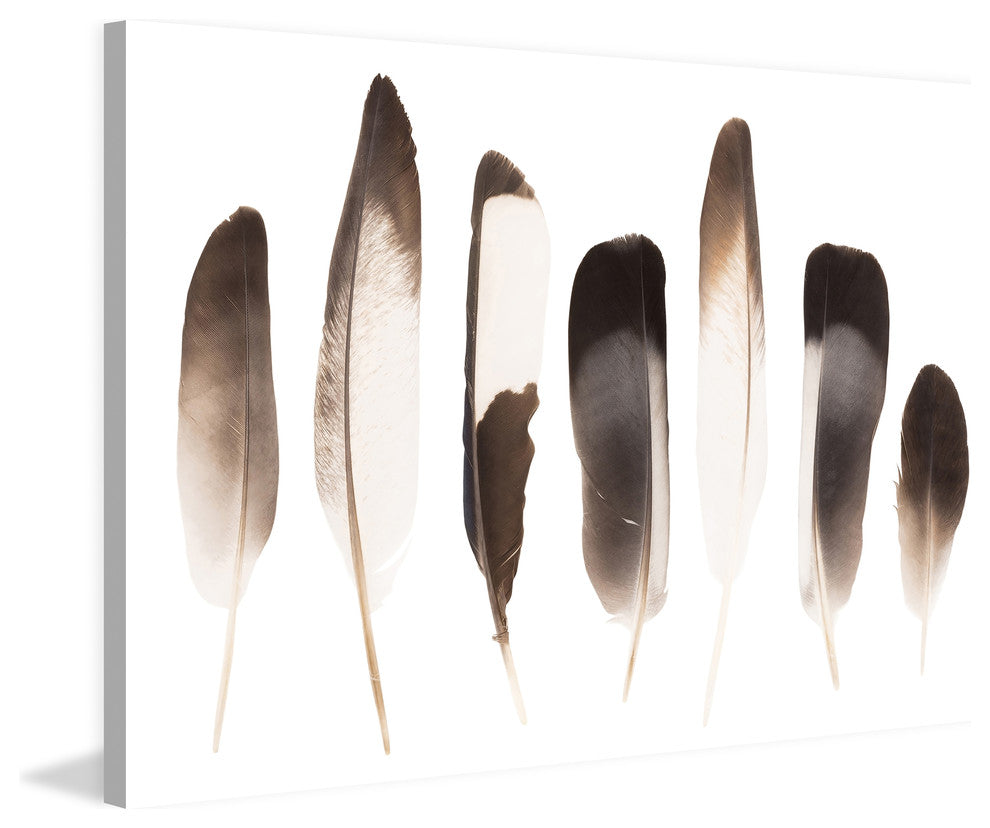 "Dark Feathers in the Light" Painting Print on Canvas