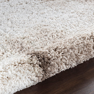 Noori Rug Shag Walsh Beige/Brown Rug