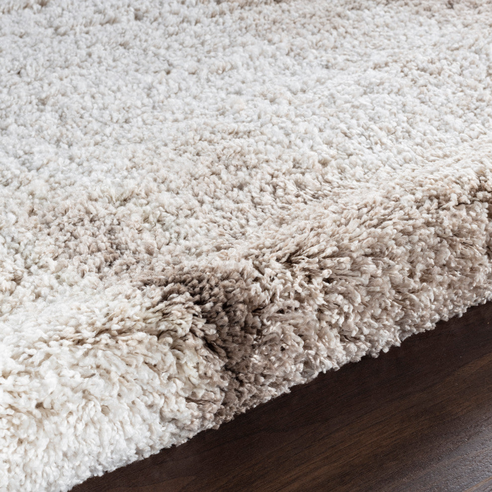 Noori Rug Shag Walsh Beige/Brown Rug
