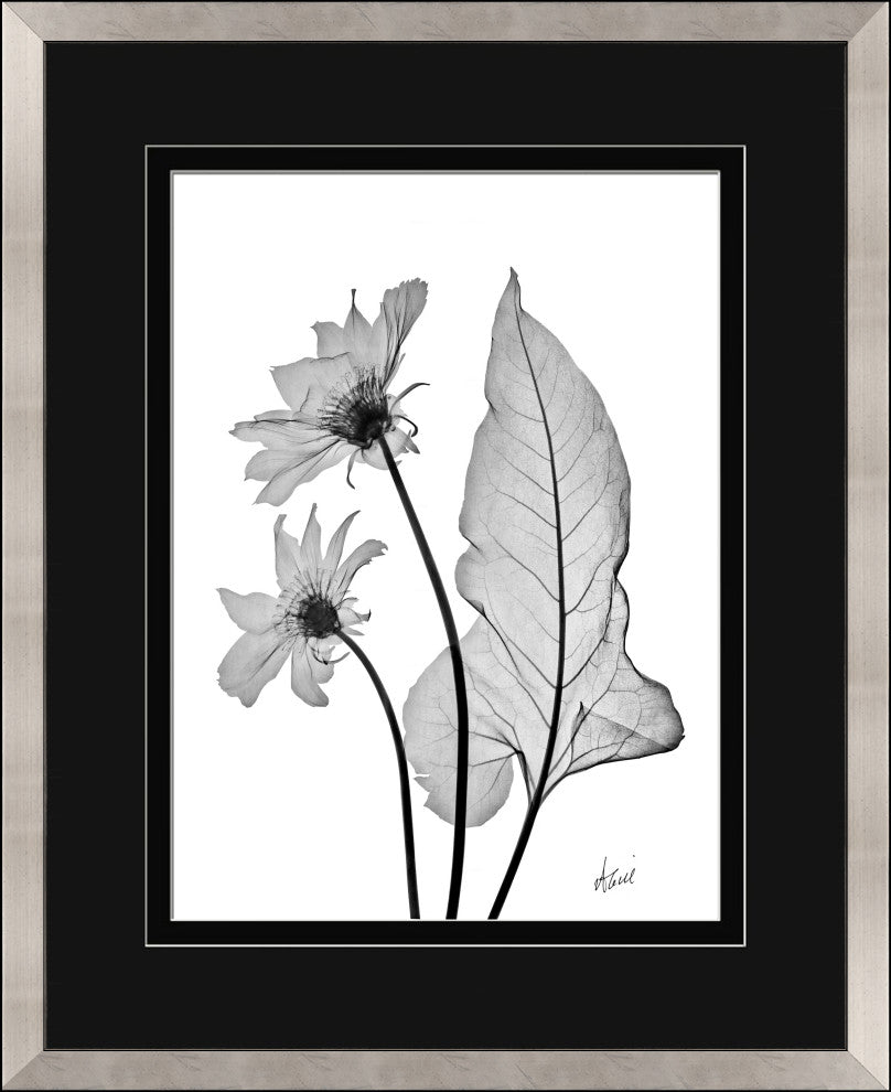 Arrow Leaf, Giclee Reproduction Artwork