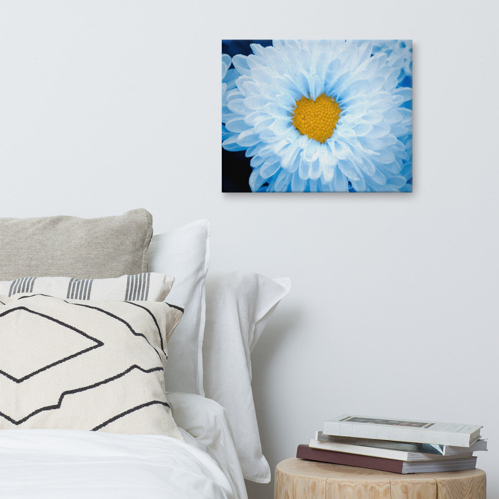 Blue Tinted Chrysanthemums Nature Photo Botanical Floral Canvas Wall Art Print, 16" X 20"