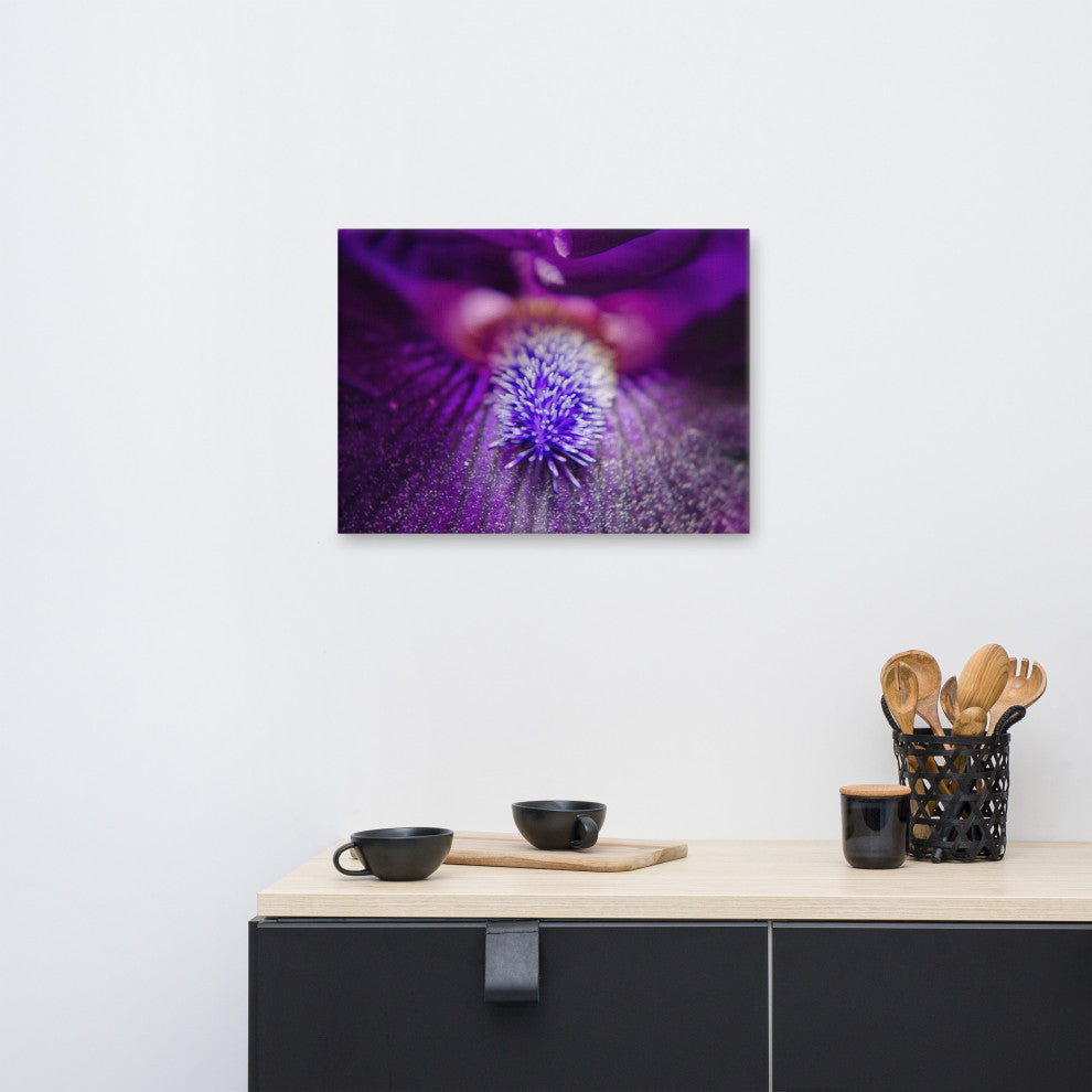Eye of Iris Floral Nature Photography Canvas Wall Art Print, 18" X 24"