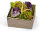 Orchid and Quartz in SIlver Square, Amehtyst
