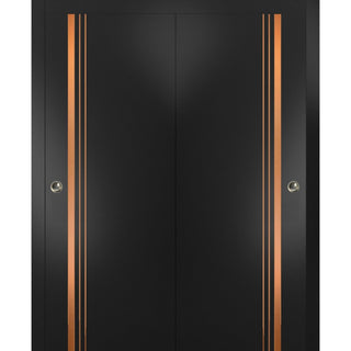 Bypass Doors 36 x 80 | Planum 1010 Matte Black with  | Sturdy Rails