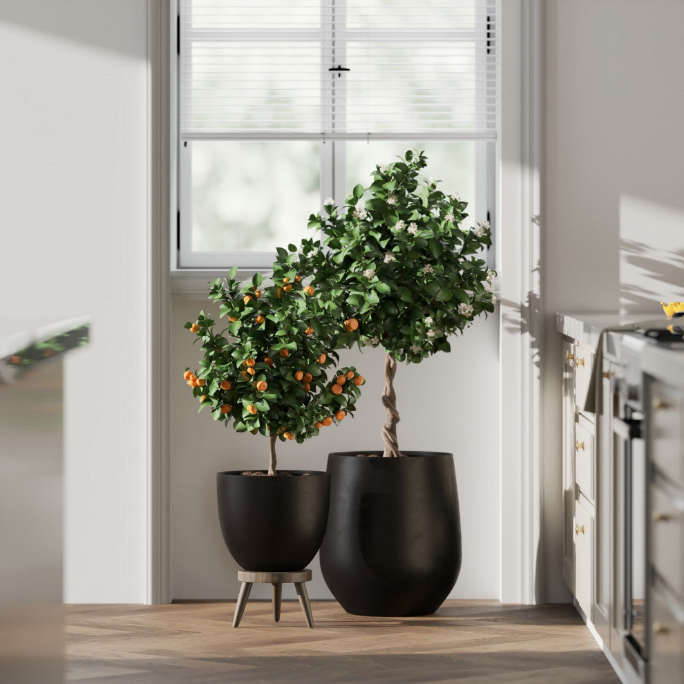 DTY Signature Mount Belford 1-piece Fiberstone Planter, Black, Small