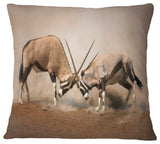 Gemsbok Antelopes Fighting African Wall Throw Pillow, 16"x16"