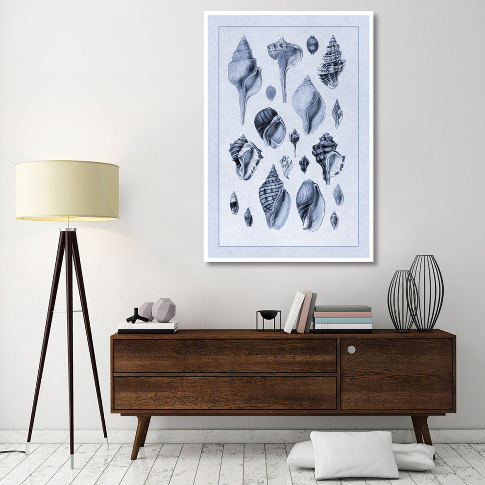 "Shells: Sessile Cirripedes #3 (Blue)" Paper Print by G.B. Sowerby, 42"x62"