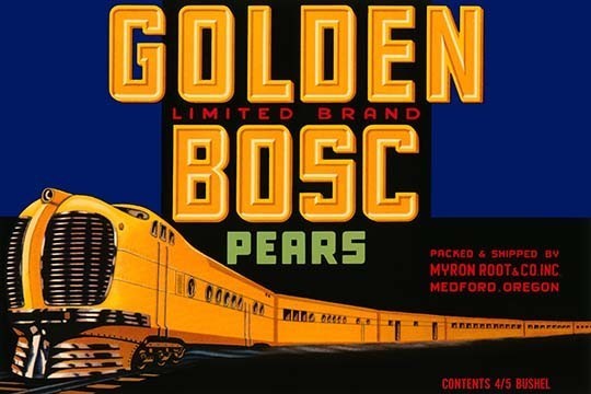 Golden Bosc Limited Edition Pears - Canvas Poster 20" x 30"