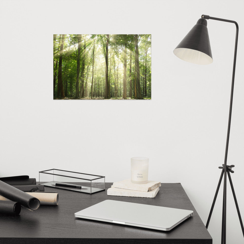 Sun Rays Through Treetops Landscape Photo Unframed Wall Art Print, 12" X 18"