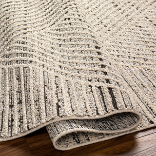 Berlin BLR-2302 Machine Woven Area Rug, 6'7" X 9'