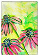 Cone Flowers Kitchen Towel - Two Sets of Two (4 Total)