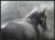 "Gramy" Framed Canvas Giclee by Milan Malovrh, 25x19"