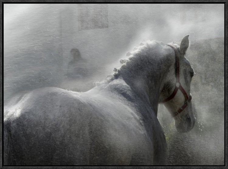"Gramy" Framed Canvas Giclee by Milan Malovrh, 25x19"