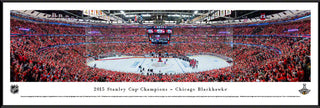 2015 Stanley Cup Champions, Chicago Blackhawks, Standard Frame