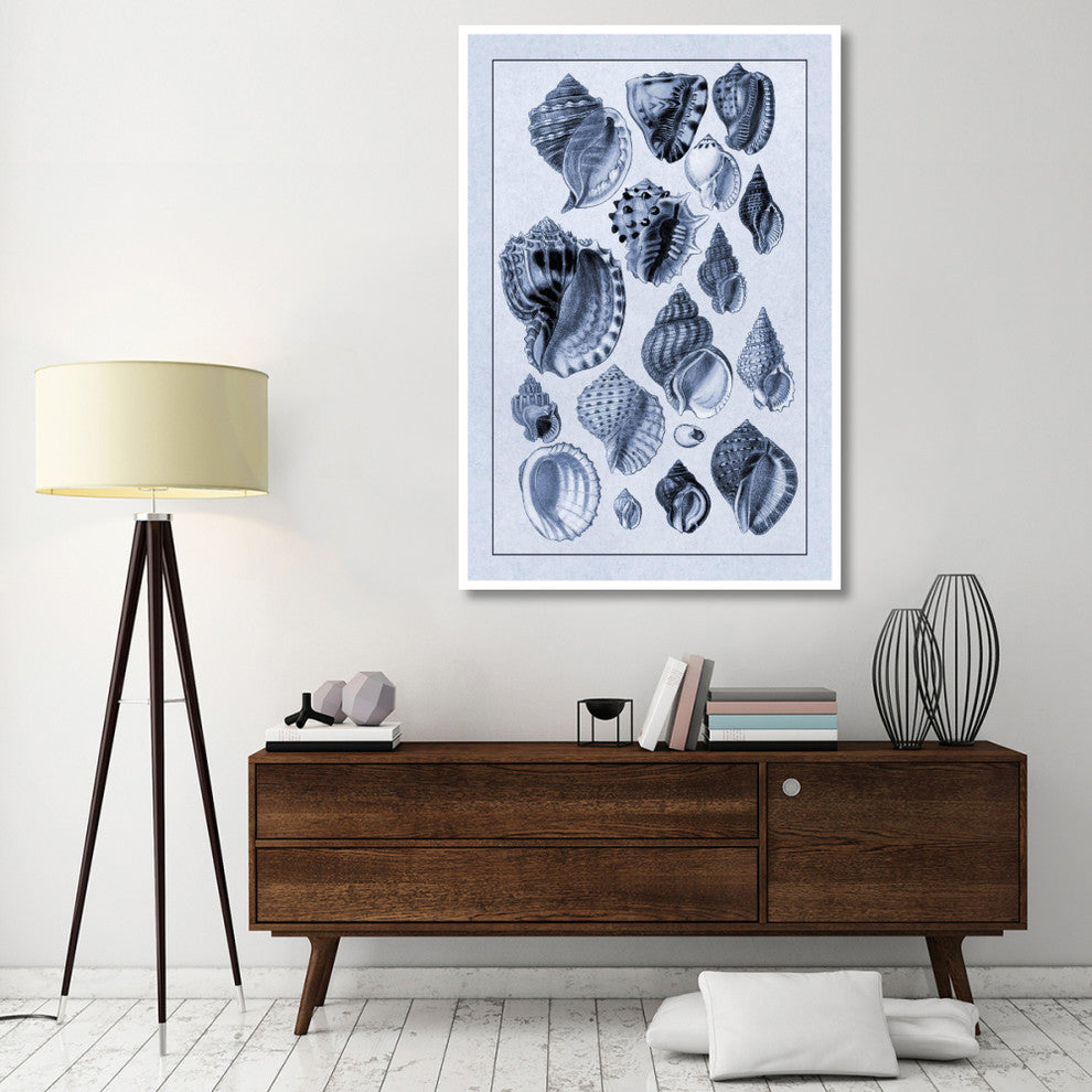 "Shells: Purpurifera (Blue)" Digital Paper Print by G.B. Sowerby, 42"x62"