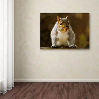 'Smiling Squirrel' Canvas Art by Lois Bryan